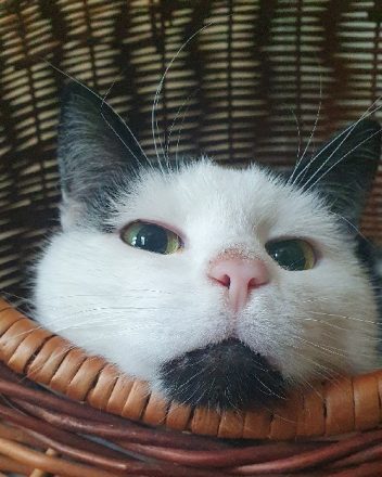 511110461_1264651712124144_4299775033070987371_naaaaaa 511110461_1264651712124144_4299775033070987371_naaaaaa