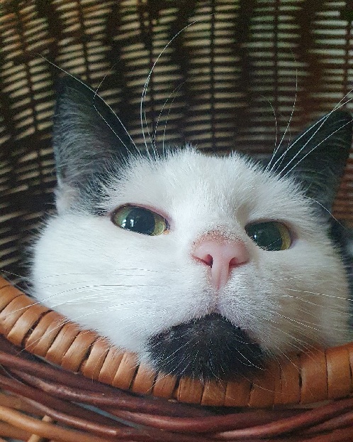 511110461_1264651712124144_4299775033070987371_naaaaaa 511110461_1264651712124144_4299775033070987371_naaaaaa